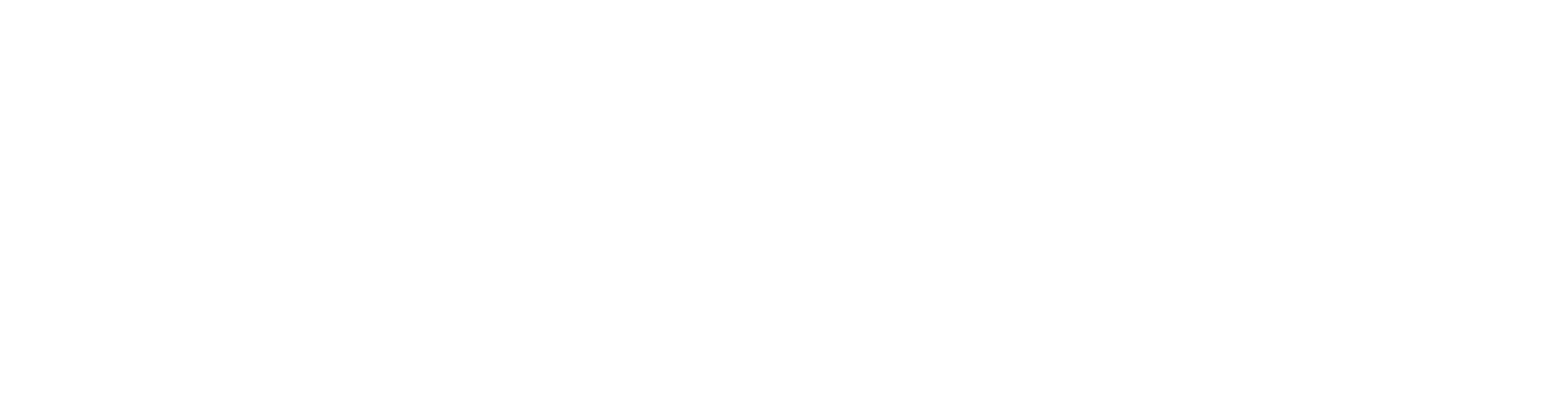 Safety Pro